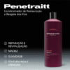 4064666317625_3.png Condicionador Sebastian Penetraitt
