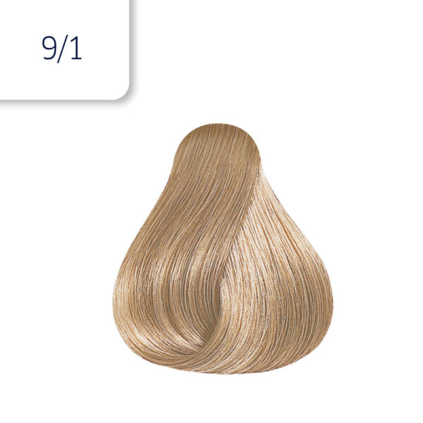 7891182018289_2.jpg Color Perfect Rich Naturals 9/1
