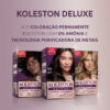 Koleston-Deluxe-3.jpg Koleston Deluxe